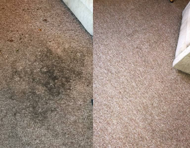 about Eco Carpet Cleaning Hemel Hempstead