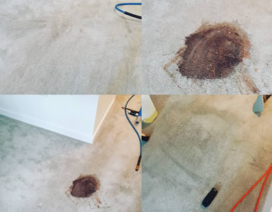 Carpet cleaning cost