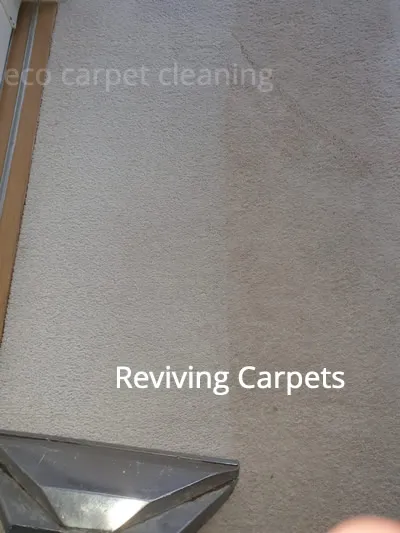 see how well our carpet cleaning machines work transforming this carpet