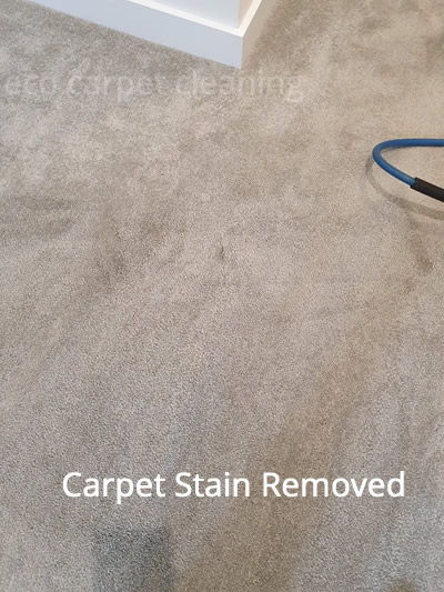 carpet stain removed