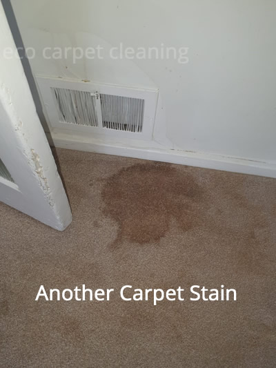 another massive carpet stain