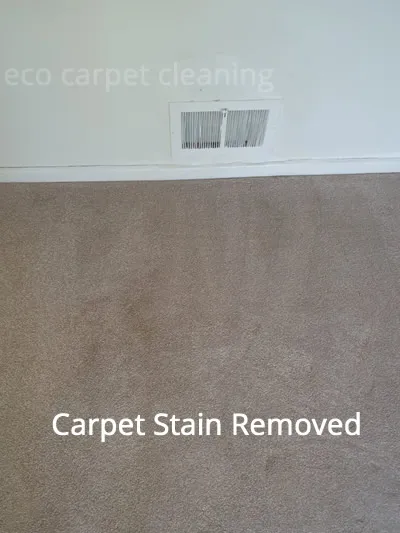 eco carpet cleaning remove carpet stains
